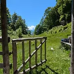 Ferienhaus Views - Hut In The Forest *