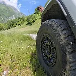 Views - Hut In The Forest Ferienhaus *