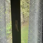 Views - Hut In The Forest