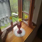 Views - Hut In The Forest * Bovec