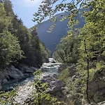 Views - Hut In The Forest * Bovec