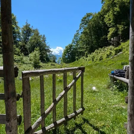 Vikendica Views - Hut In The Forest *