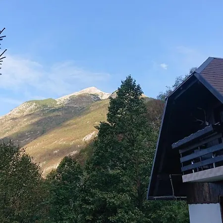 Vikendica Views - Hut In The Forest *