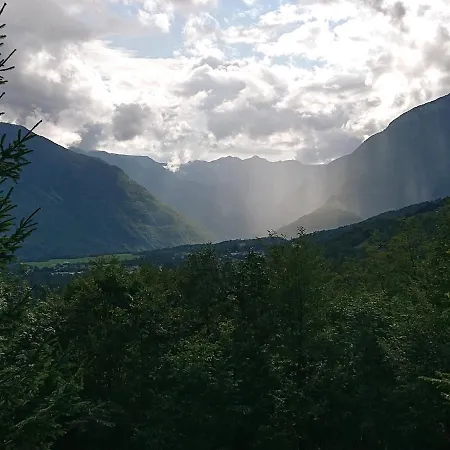 Views - Hut In The Forest *