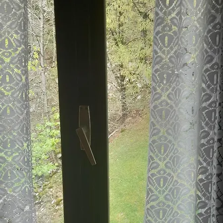 Views - Hut In The Forest