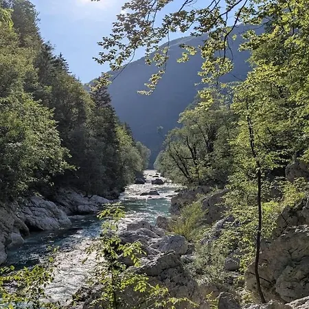 Views - Hut In The Forest * Bovec